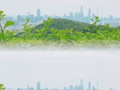 -广州市白云山风景名胜区