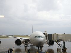 -达拉斯 沃斯堡国际机场