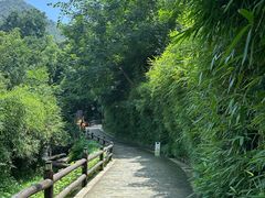 -状元人家·公园别墅衡东土菜(溪悦荟店)