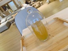 -猫腻·猫咖·撸猫馆(星光大道店)