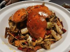 -点都德·毕德寮