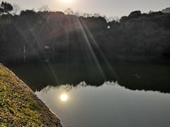 -杭州半山国家森林公园