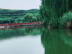 -河北省园博园