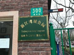 -新江湾城公园