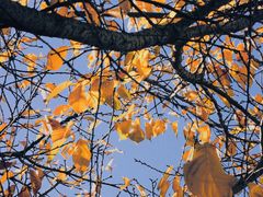 -河南省黄河迎宾馆