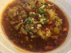 -左陕右甘(亚运村店)