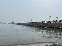 -青岛海滨风景区