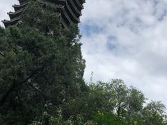 -博雅塔