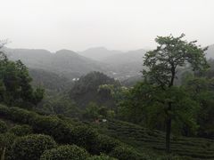 -西湖风景区十里琅珰-五云山