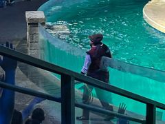 -波塞冬海底世界
