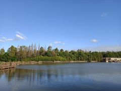 -上海海湾国家森林公园