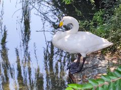 -石景山区图书馆(八角南路)