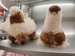 -VBEINGS微缤礼物(IFS国金中心店)