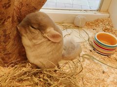 -龙猫仔乐园(惠福东路店)