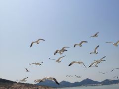 -海驴岛(荣成市)
