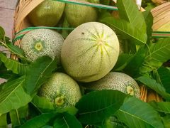 -宋记冕宁土菜馆(海门渔村二店)