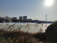 -大兴滨河森林公园