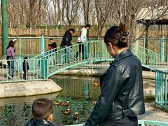 -水上乐园·欢乐世界