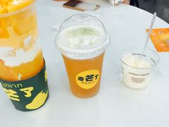 美芝芝四季春-泰芒了