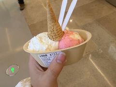 -极拉图·现制冰淇淋(大卫城店)