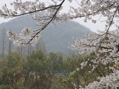 -杭州少年儿童公园