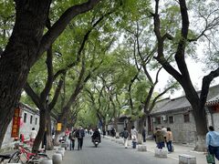 -北京国子监胡同