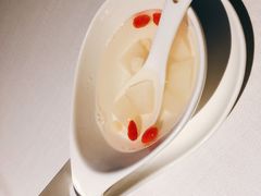 -梧桐