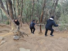 -灵岩山风景区