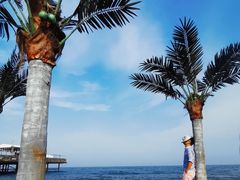 -北戴河碧螺塔海上酒吧公园