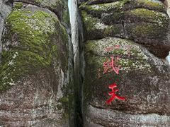 -汤旺河林海奇石景区