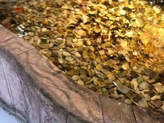 -小科自助海鲜烧肉(高区店)