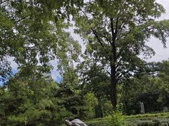 -黑龙江省森林植物园