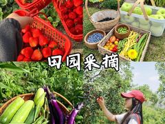 -上海山野camping·户外天幕烧烤·团建拓展营地
