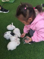 -萌宠亲子动物乐园(槐房万达店)