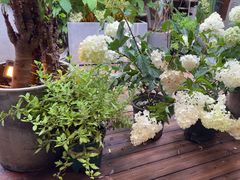 -小喜客·云南特色菜(纳西庭院店)