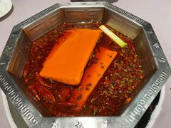 -蜀九香火锅(九眼桥店)