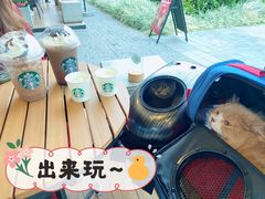 -星巴克(珠海仁恒滨海中心店)