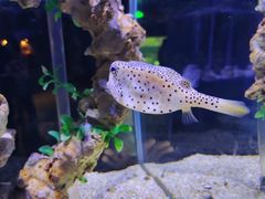 -太平洋海底世界