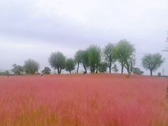 -汉长安城未央宫国家考古遗址公园