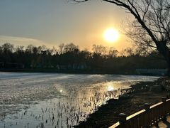 -长春市南湖公园