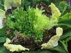 -额尔敦草原涮羊肉·烧烤(冻青树总店)
