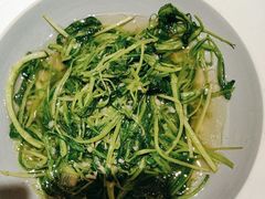 -鸽子窝(宋庄店)