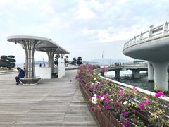 -演武大桥观景平台