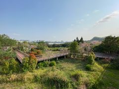-立新湖公园