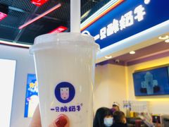 -一只酸奶牛(八一路店)