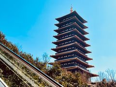 -牛首山文化旅游区