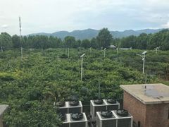 -那家山城(樱桃园店)