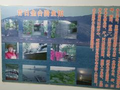 -金台阶鱼馆(于桥水库店)