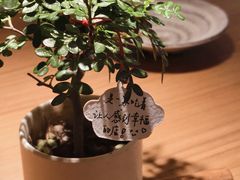 -CURRY YA 熟成咖哩專門店(深圳湾万象城店)