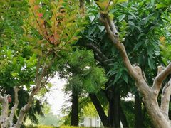 -钓鱼台国宾馆